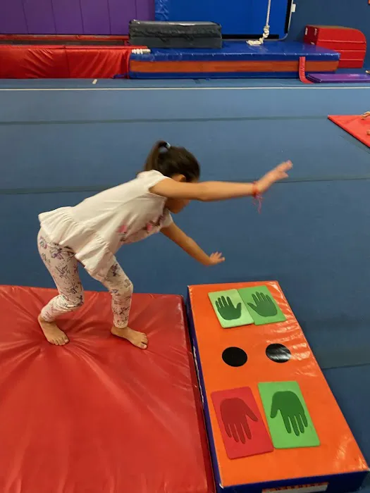 Apex Gymnastics Picture 9