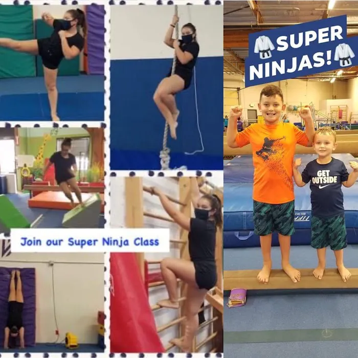 Apex Gymnastics Picture 4