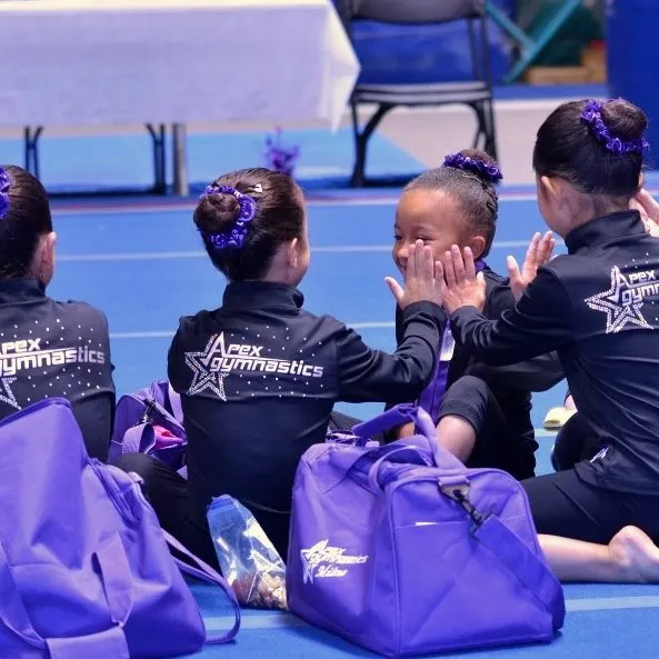 Apex Gymnastics Picture 2