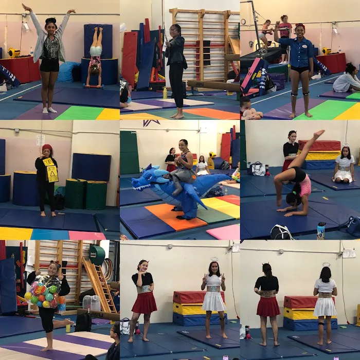 Apex Gymnastics Picture 6