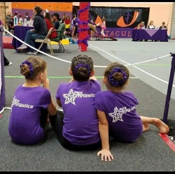 Apex Gymnastics Picture 3