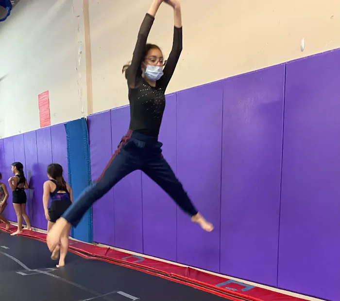 Apex Gymnastics Picture 1