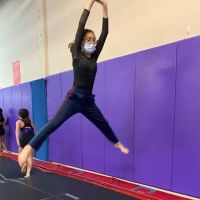 Apex Gymnastics ico