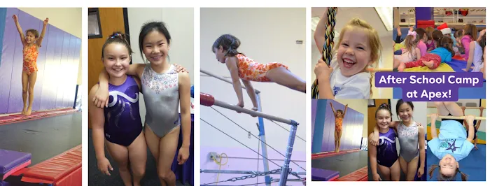 Apex Gymnastics Picture 10