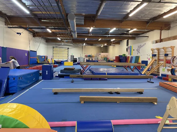 Apex Gymnastics Picture 7