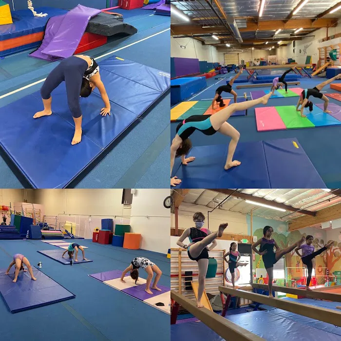 Apex Gymnastics Picture 8
