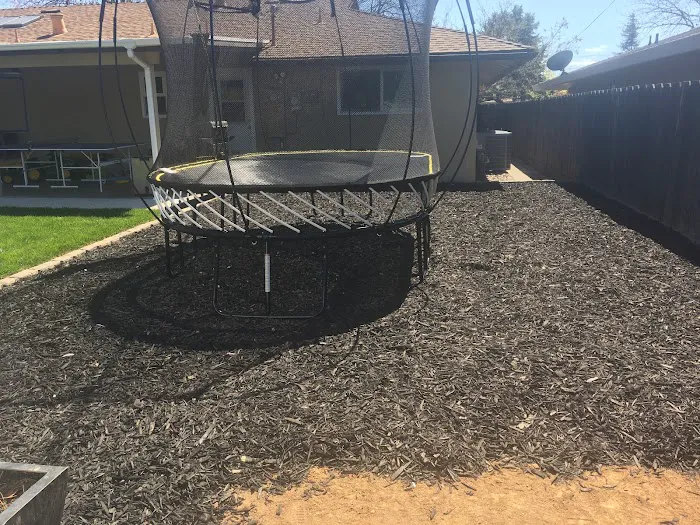 Kidz Backyard Picture 2