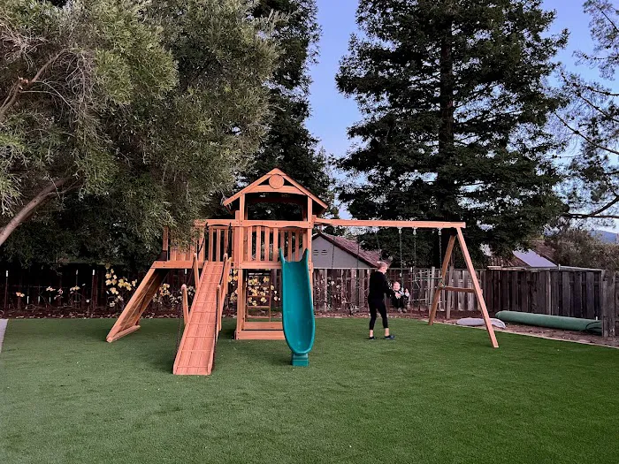 Kidz Backyard Picture 3