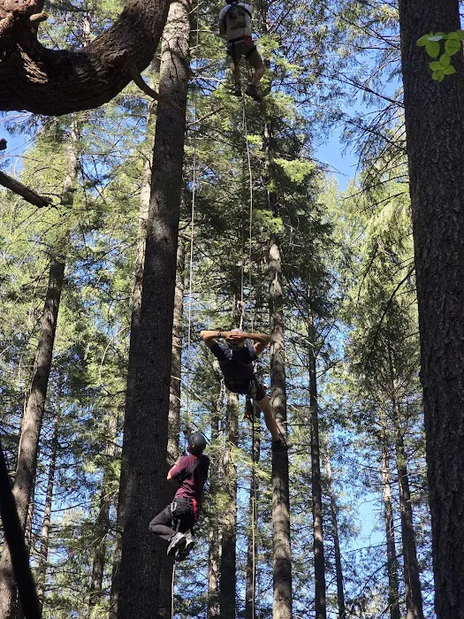Bungee Adventures Picture 1
