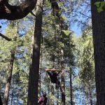 Bungee Adventures