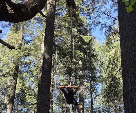 Bungee Adventures