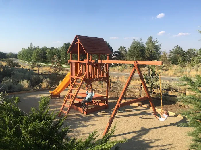 Kidz Backyard Picture 4