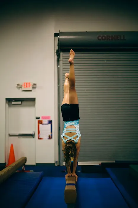 Flip 2 It Sports Center Picture 2