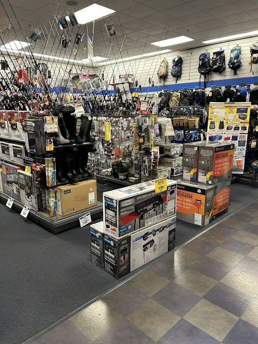 Big 5 Sporting Goods Picture 8