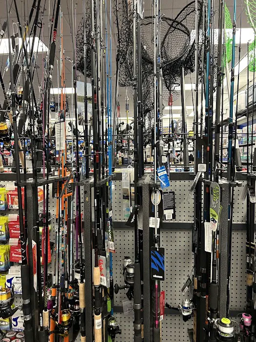Big 5 Sporting Goods Picture 10