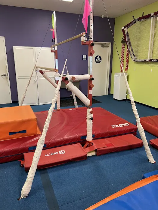 The Little Gym of Mountain View Picture 2