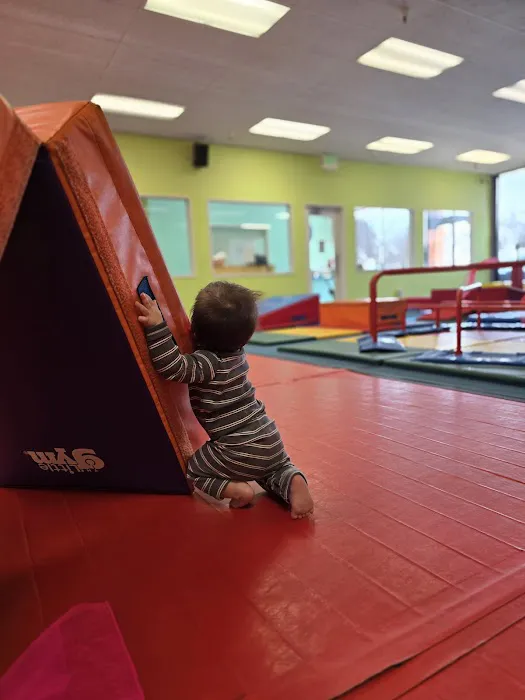 The Little Gym of Mountain View Picture 1
