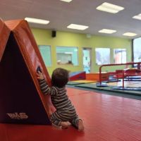 The Little Gym of Mountain View ico