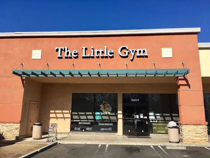 The Little Gym of Mountain View Picture 4