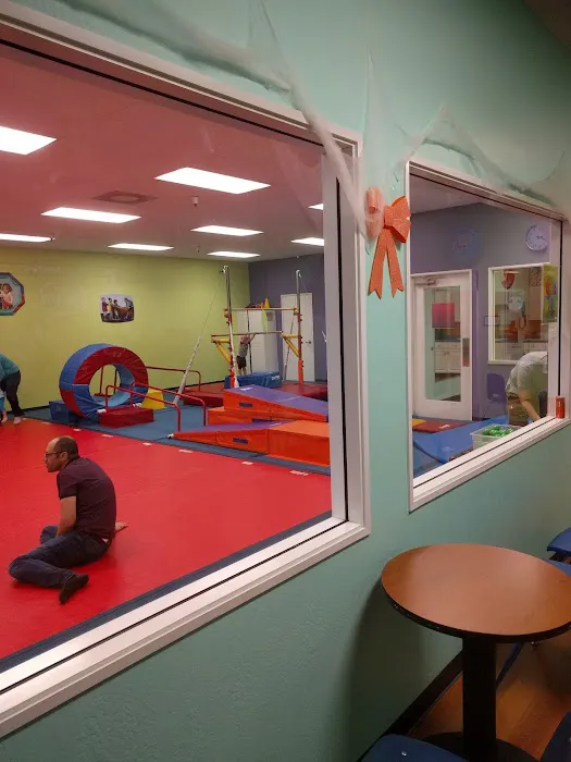 The Little Gym of Mountain View Picture 3