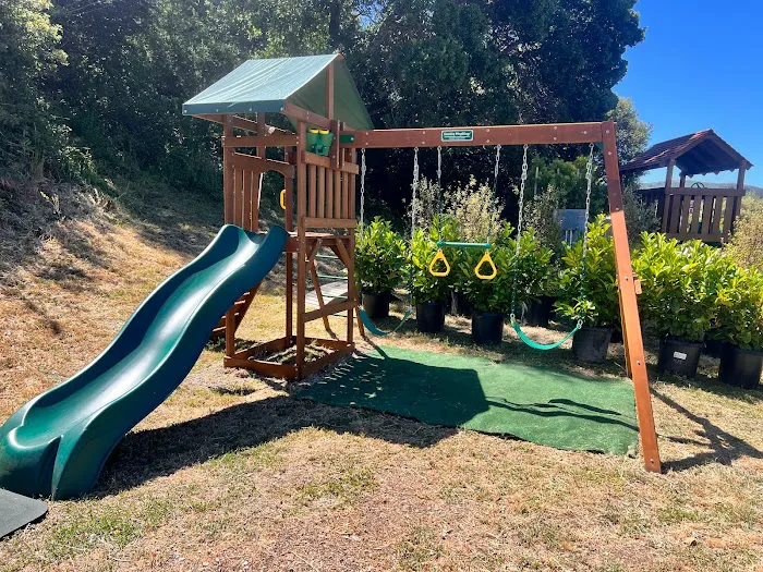 Marin Backyards Picture 3