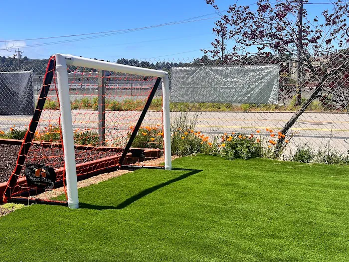 Marin Backyards Picture 10