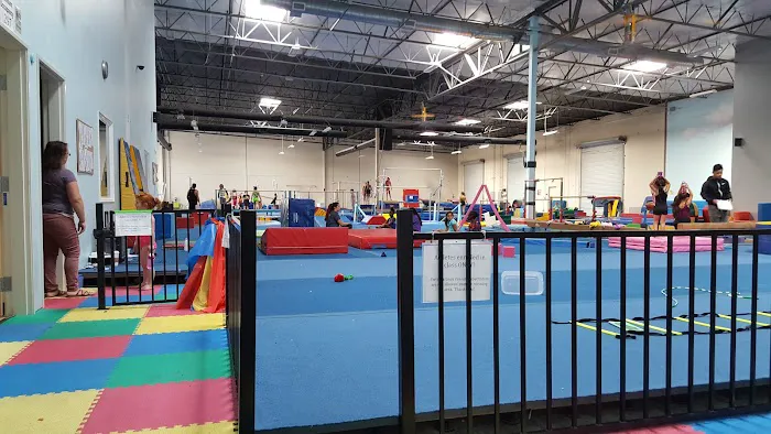 Dream Xtreme Gymnastics Picture 2