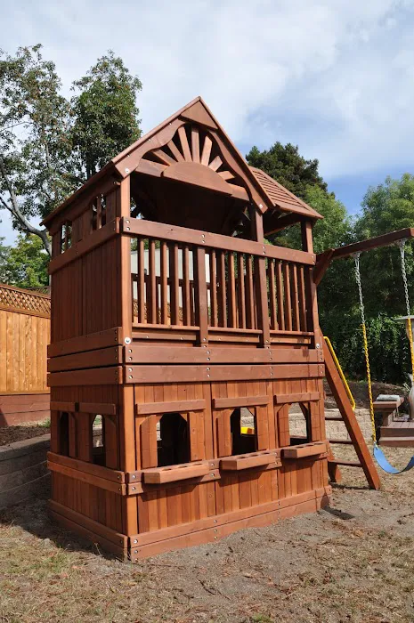 Backyard Fun Picture 3