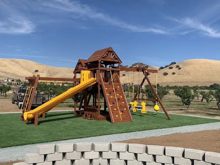 Backyard Fun Picture 1