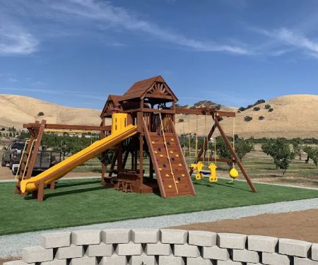 Backyard Fun