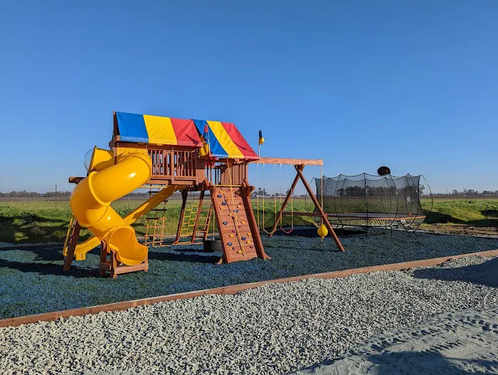 Backyard Fun Picture 6