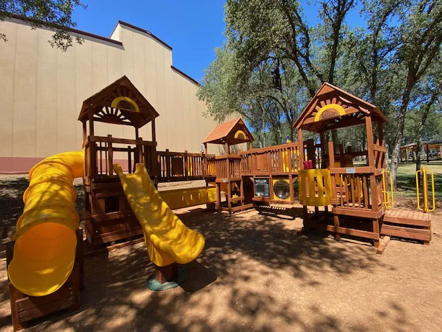 Backyard Fun Picture 10