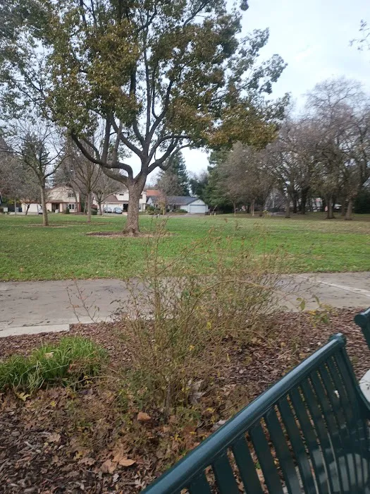 Jefferson School Park Picture 10