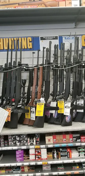 Big 5 Sporting Goods Picture 1