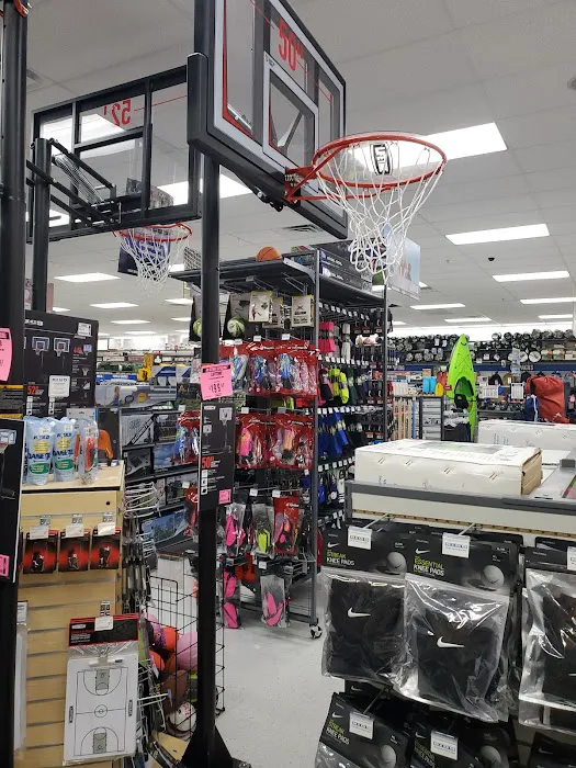 Big 5 Sporting Goods Picture 3
