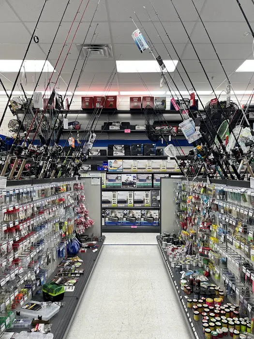 Big 5 Sporting Goods Picture 1