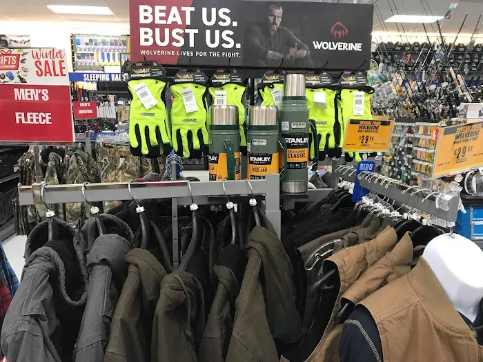 Big 5 Sporting Goods Picture 4