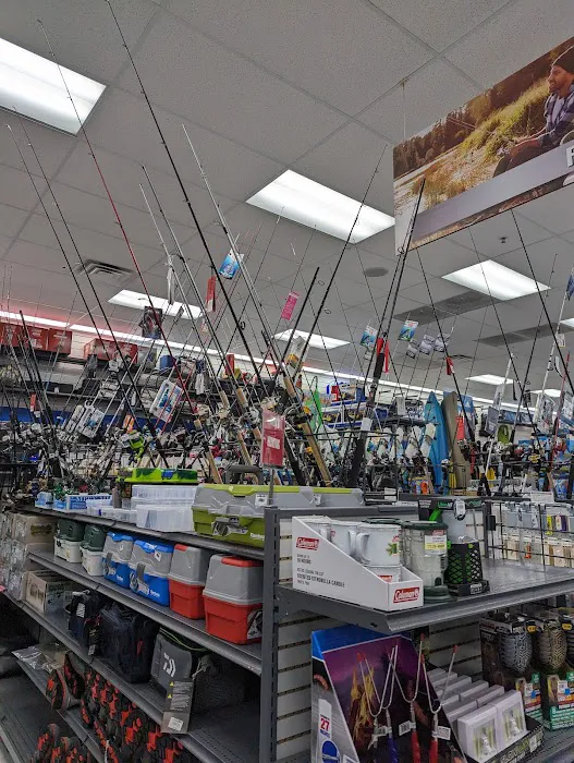 Big 5 Sporting Goods Picture 8