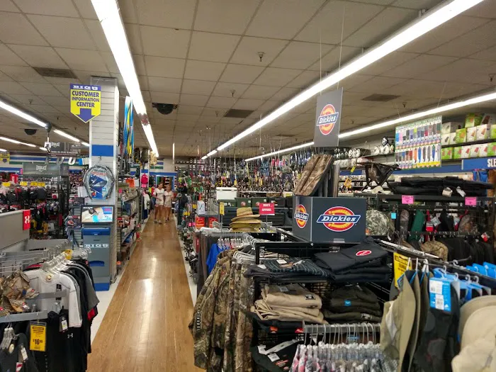 Big 5 Sporting Goods Picture 6