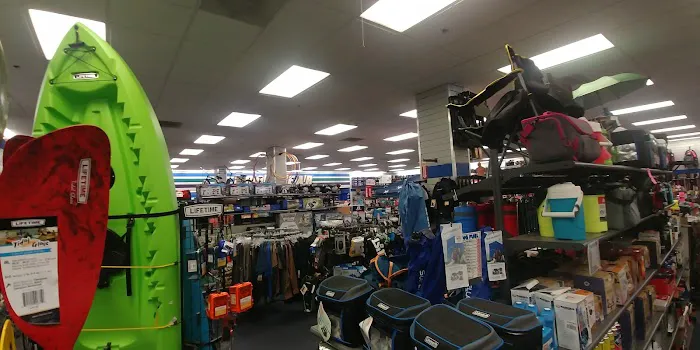 Big 5 Sporting Goods Picture 4