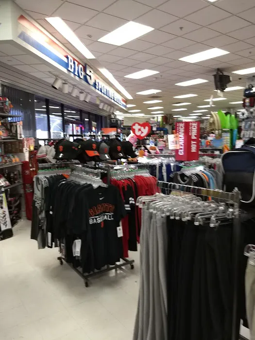 Big 5 Sporting Goods Picture 3