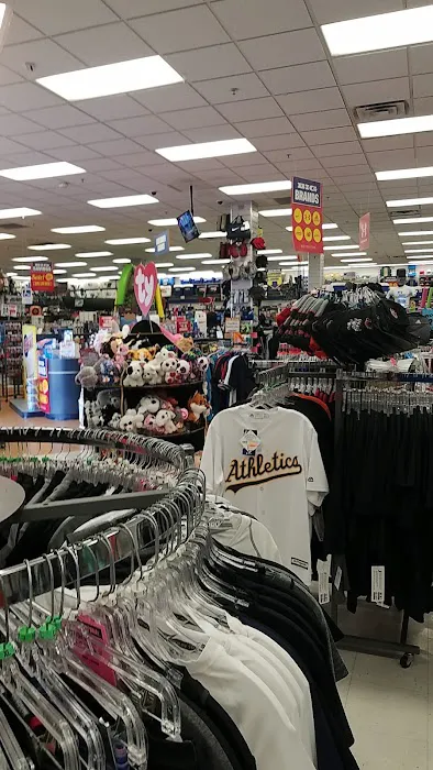 Big 5 Sporting Goods Picture 8