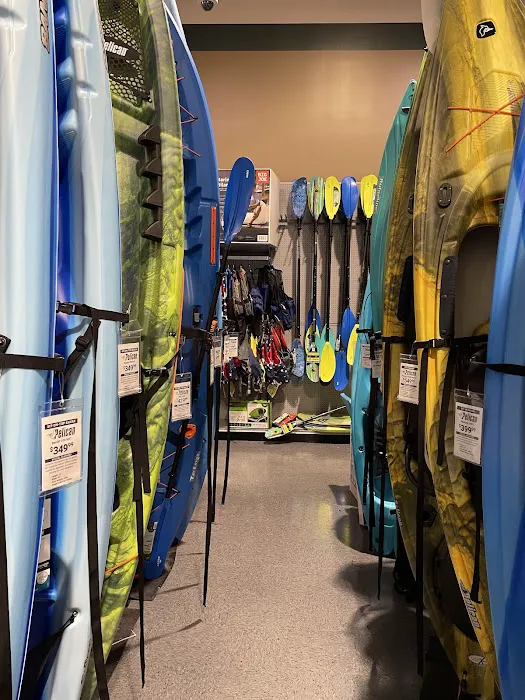 DICK'S Sporting Goods Picture 4