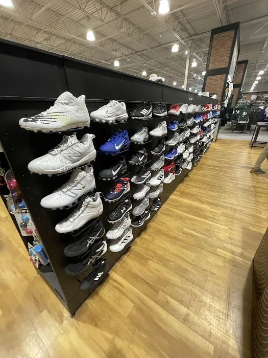 DICK'S Sporting Goods Picture 7
