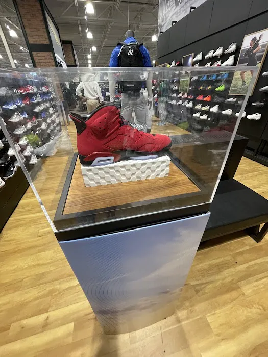 DICK'S Sporting Goods Picture 9