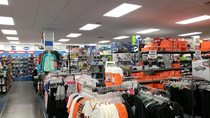 Big 5 Sporting Goods Picture 8