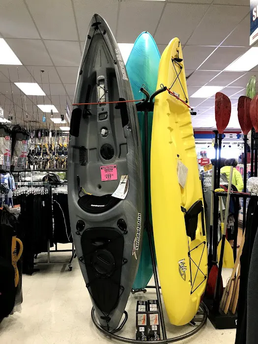 Big 5 Sporting Goods Picture 3