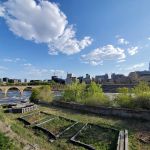 Xcel Energy Water Power Park