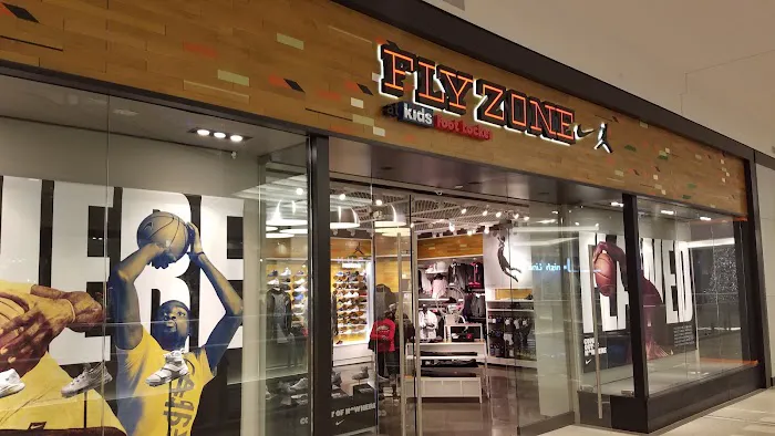 Fly Zone Picture 2