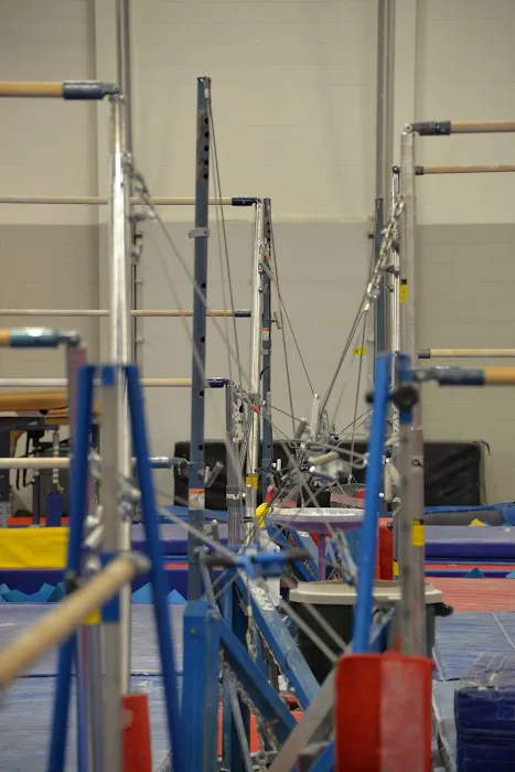 Mini Hops Gymnastics Picture 8
